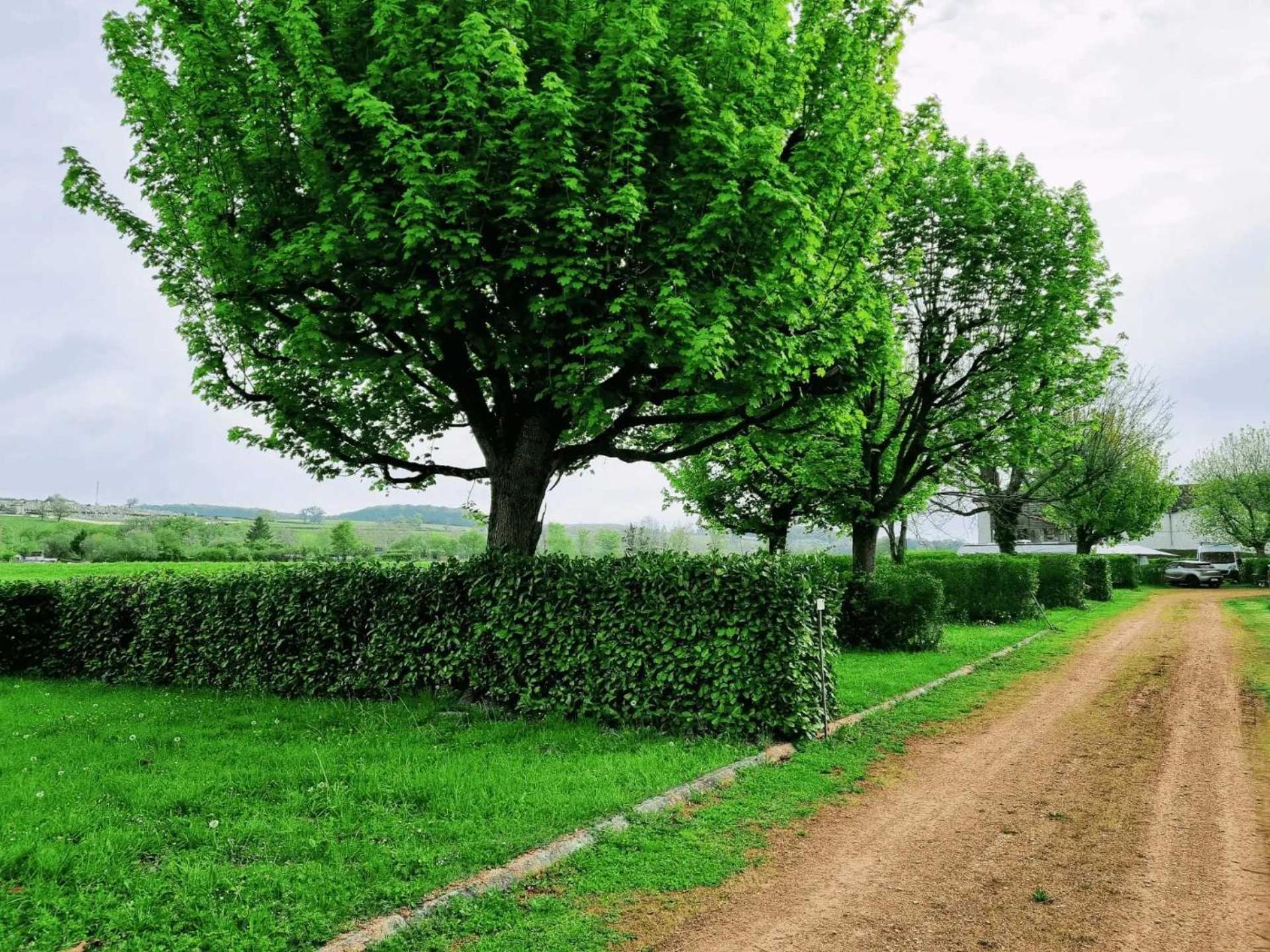 Camping De Charlieu - Mobile Home Zewnętrze zdjęcie